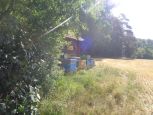 abeilles.1.JPG